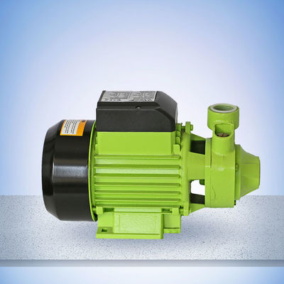 60L/Min 1HP Peripheral Water Pump WD020250750