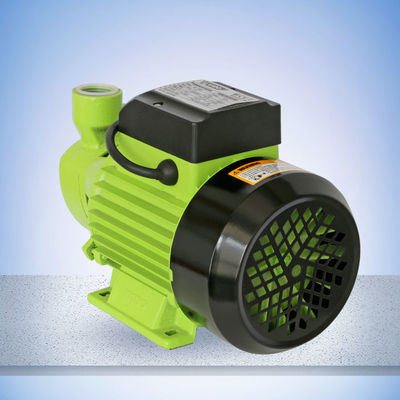 60L/Min 1HP Peripheral Water Pump WD020250750