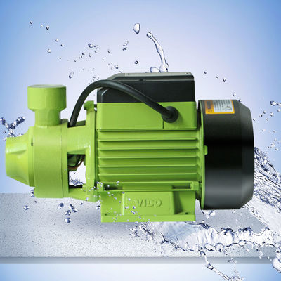 8m 35L/Min 0.5HP Peripheral Water Pump WD020240370